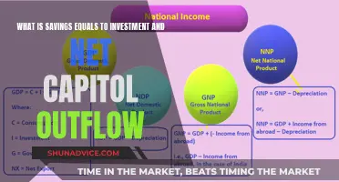 Savings, Investment, and Outflow: Understanding the Balance