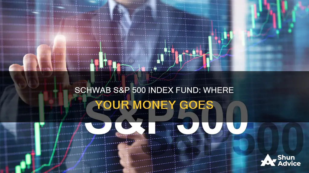 what is schwab s7p 500 index fund invested in