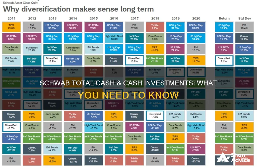 what is schwab total cash & cash investments