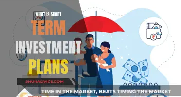 Unraveling Short-Term Investment Strategies: A Comprehensive Guide