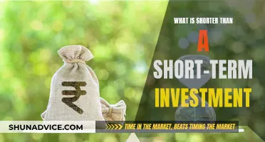 The Ultimate Answer: What's Even Shorter Than Short-Term Investments?