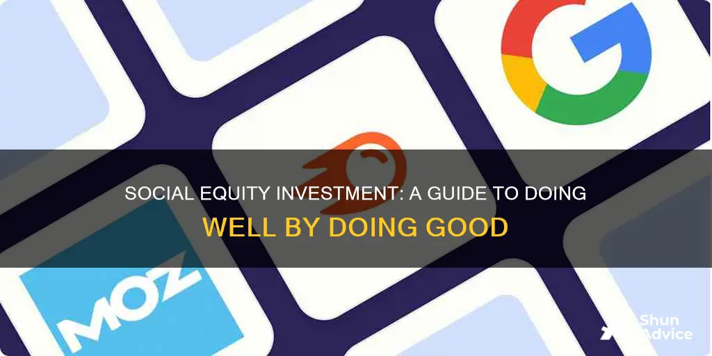 what is social equity investment