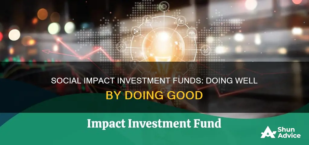 what is social impact investment funds