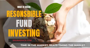 Socially Responsible Fund Investing: What's the Deal?