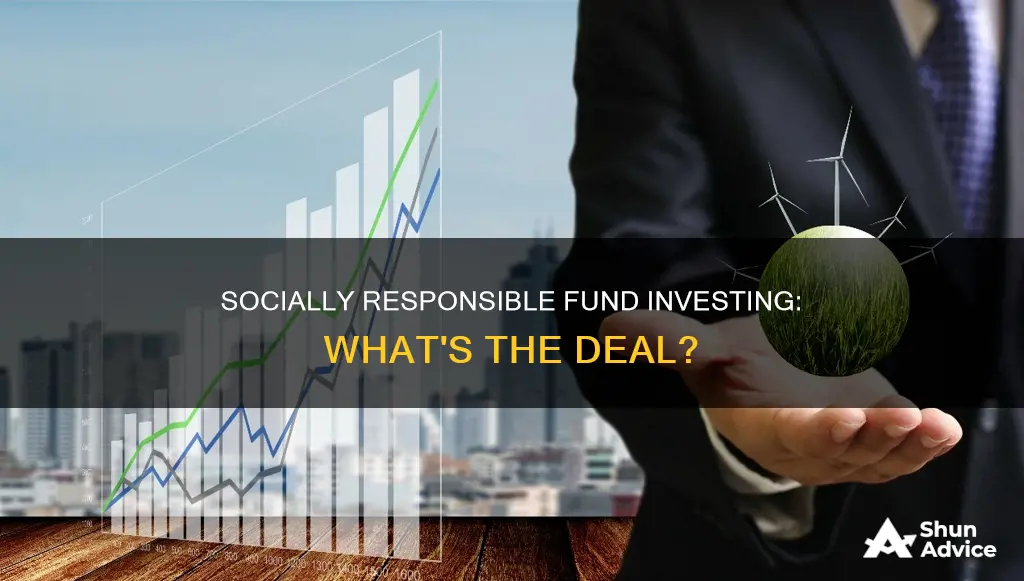 what is social resonsbible fund investing