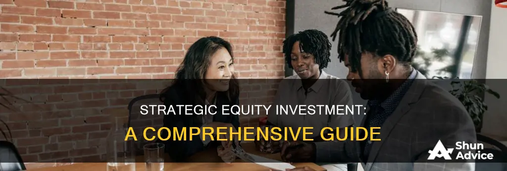 what is strategic equity investment