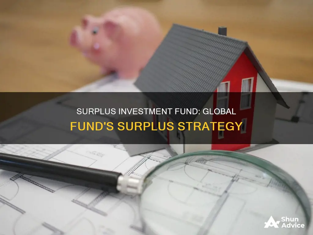 what is surplus investment fund the global fund