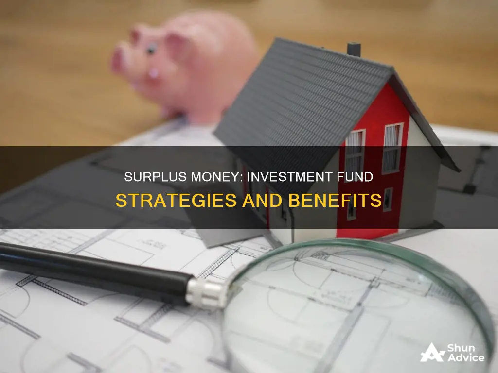 what is surplus money investment fund