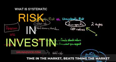 Systematic Risk: Understanding Market-Wide Investment Hazards