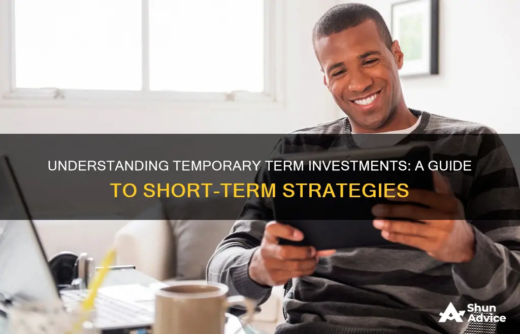 what is temporary term investment examples