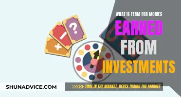 Unraveling the Mystery: What's the Term for Investment Earnings?