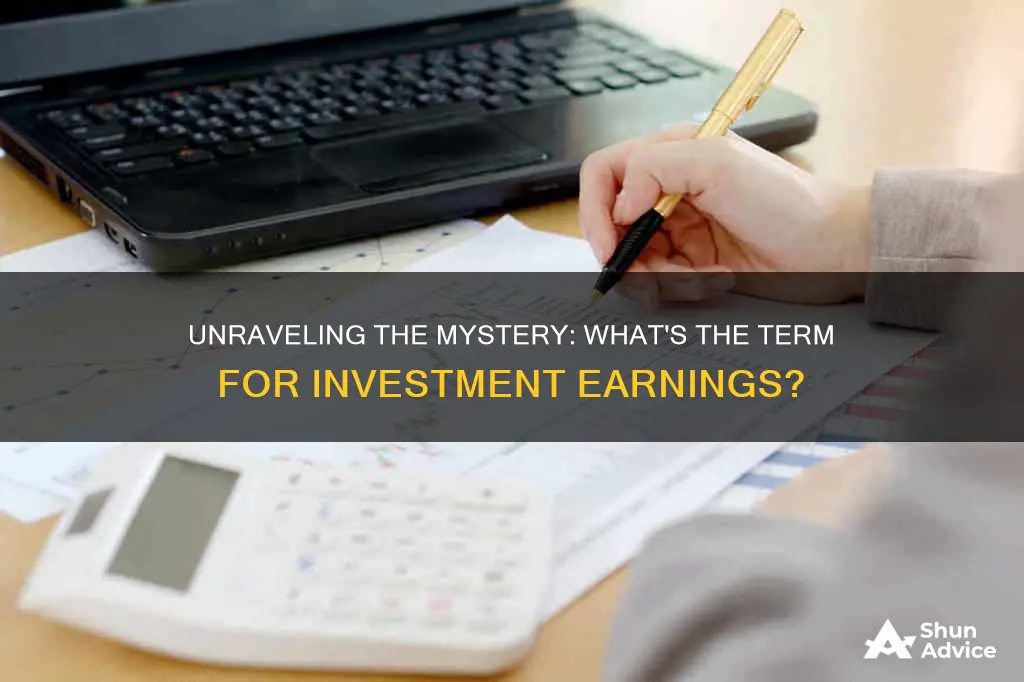 what is term for monies earned from investments