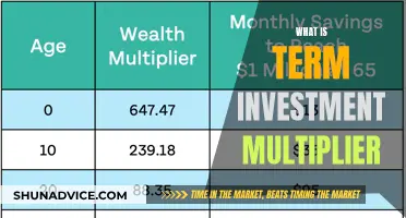 Understanding the Investment Multiplier Effect: A Comprehensive Guide