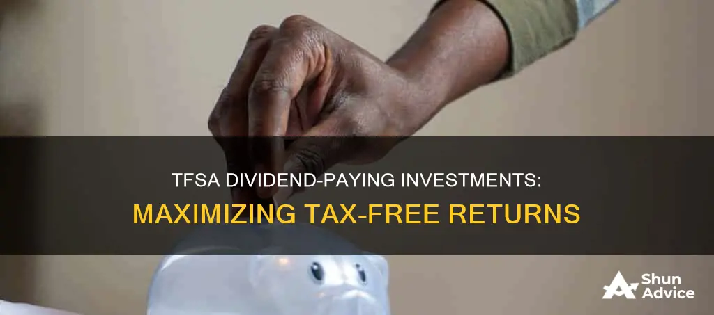 what is tfsa dividend paying investments