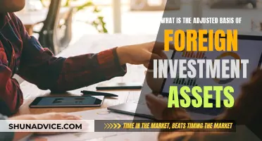 Understanding the Adjusted Basis of Foreign Investment Assets