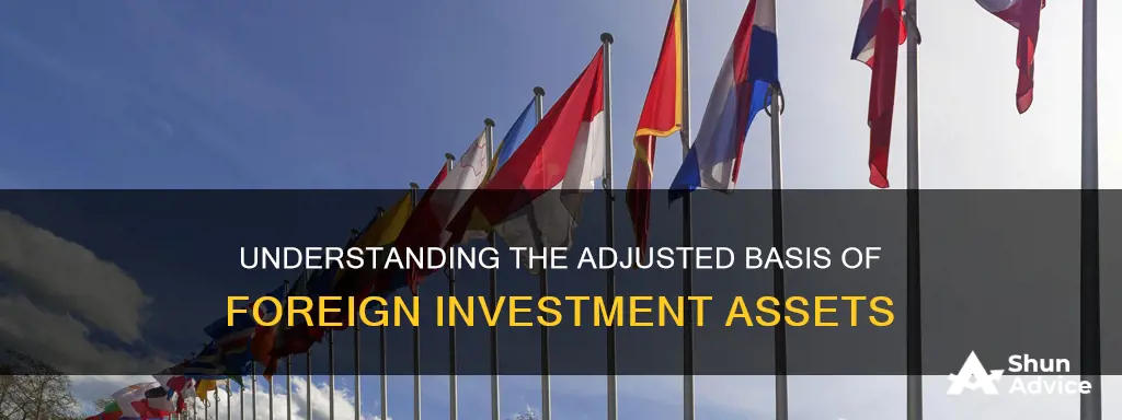 what is the adjusted basis of foreign investment assets