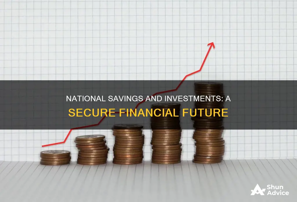 what is the aim of national savings and investments