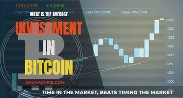 How Much Money Do Bitcoin Investors Typically Risk?