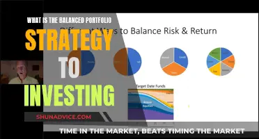 Portfolio Strategy: Balancing Act for Smart Investing