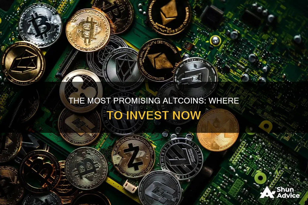 what is the best altcoin to invest in