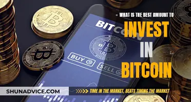 The Optimal Bitcoin Investment Strategy: How Much to Invest?