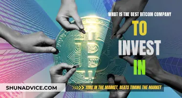 Bitcoin Investment: Top Companies to Consider