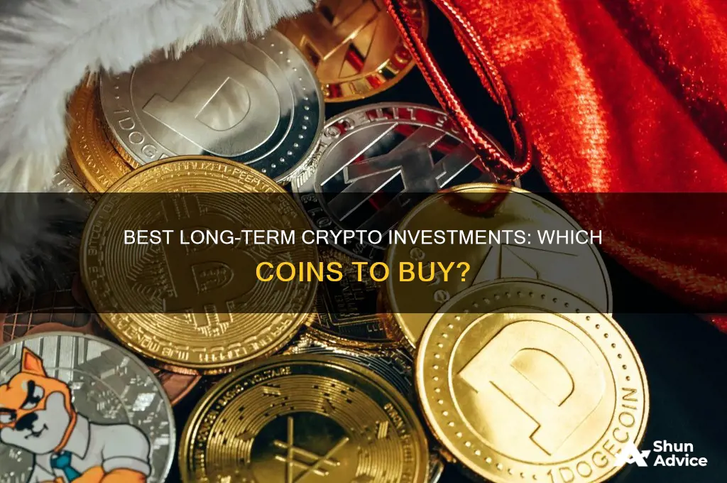 what is the best coin for long term investment