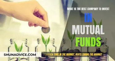 Best Mutual Fund Companies: Where to Invest?