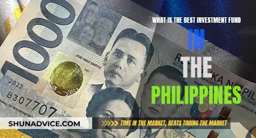 Best Investment Funds in the Philippines: Where to Invest?