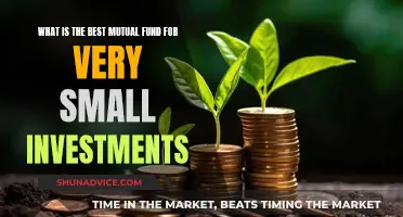 Best Mutual Funds for Small Investors