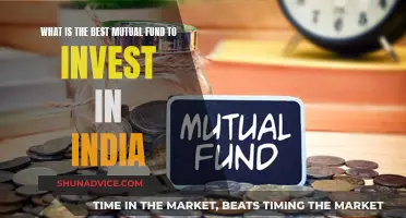 Best Mutual Funds to Invest in India: Top Picks