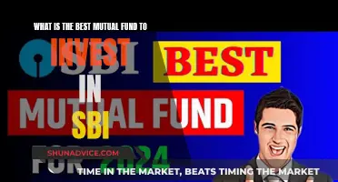 Best SBI Mutual Funds: Top Investment Picks