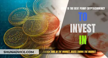 Penny Cryptocurrency: Best Investment Options for Beginners