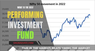 Best-Performing Investment Funds: Strategies for Success