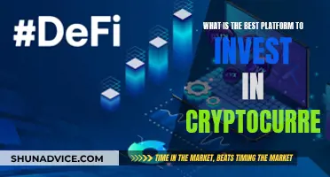 Best Platforms for Crypto Investment and Trading