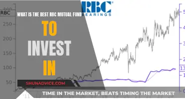 Best RBC Mutual Funds: Where to Invest Smartly