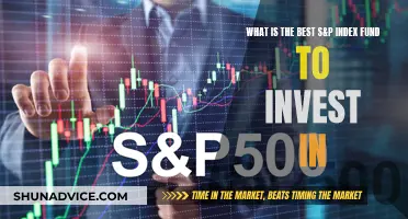 Best S&P Index Funds: Where to Invest?