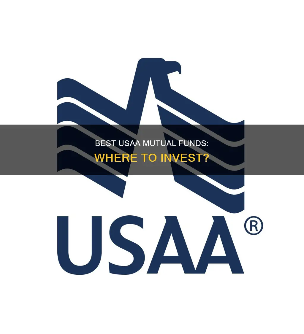 what is the best usaa mutual fund to invest in