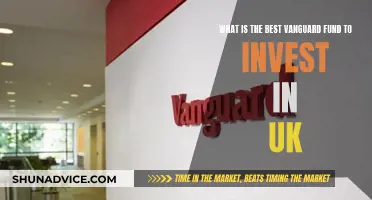 Best Vanguard UK Funds: Where to Invest?