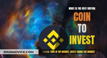 Virtual Coin Investment: Best Bets for Your Money