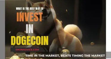 Dogecoin Investment Strategies: Making Smart Choices