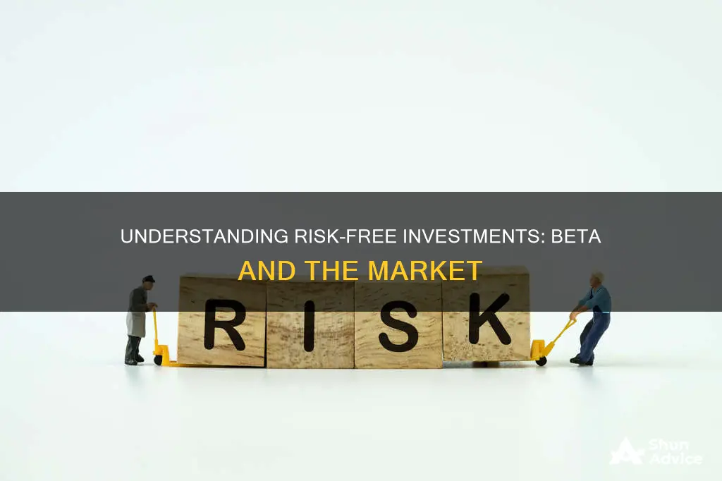 what is the beta for a risk free investment