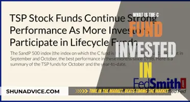 The C Fund: What Investments Does It Hold?