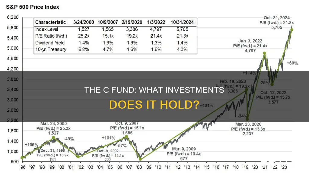 what is the c fund invested in