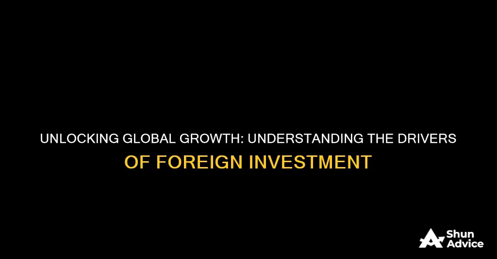 what is the cause of foreign investment