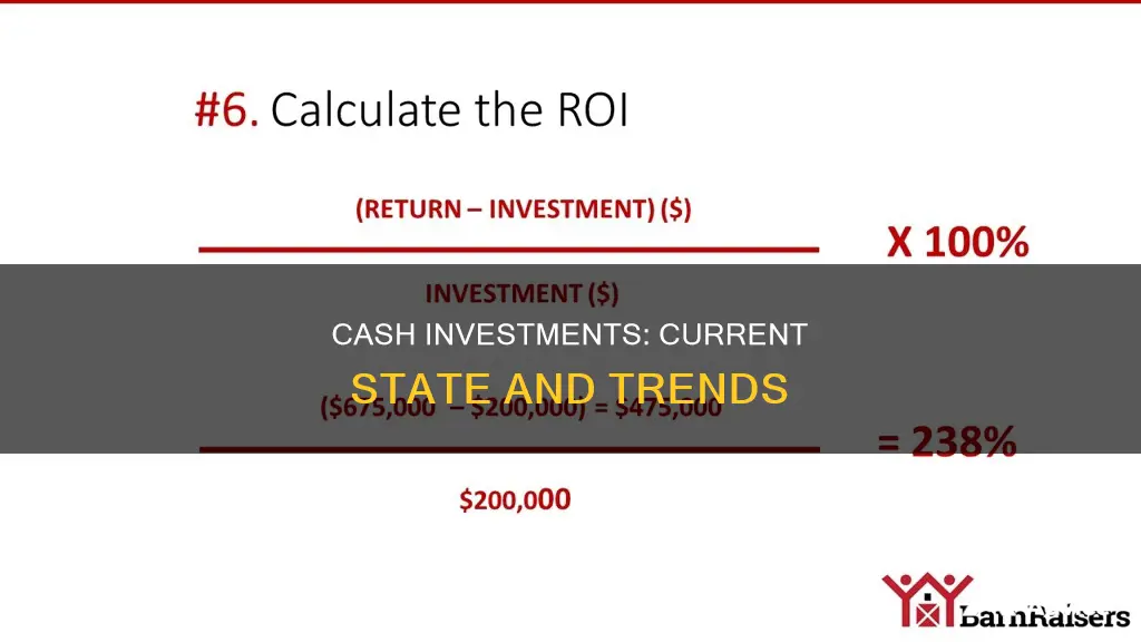 what is the current percentage of investments are in cash