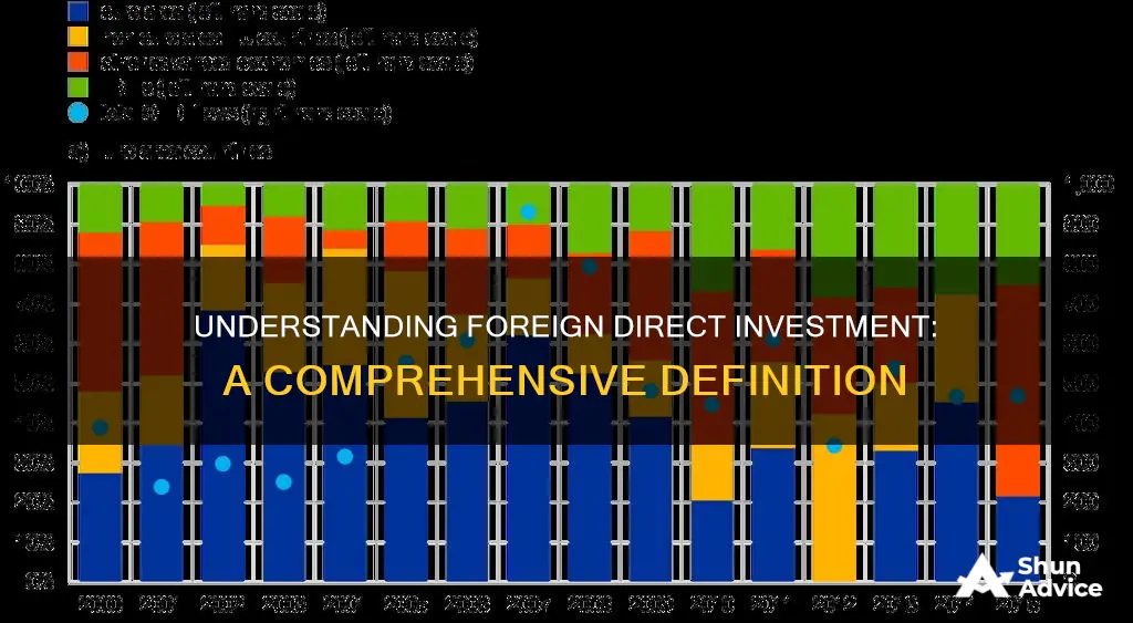 what is the definition of foreign direct investment