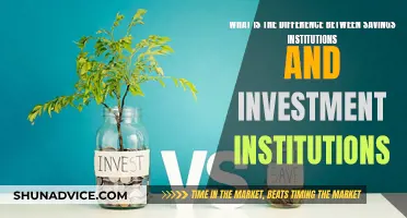 Savings vs. Investment Institutions: Where Should Your Money Go?