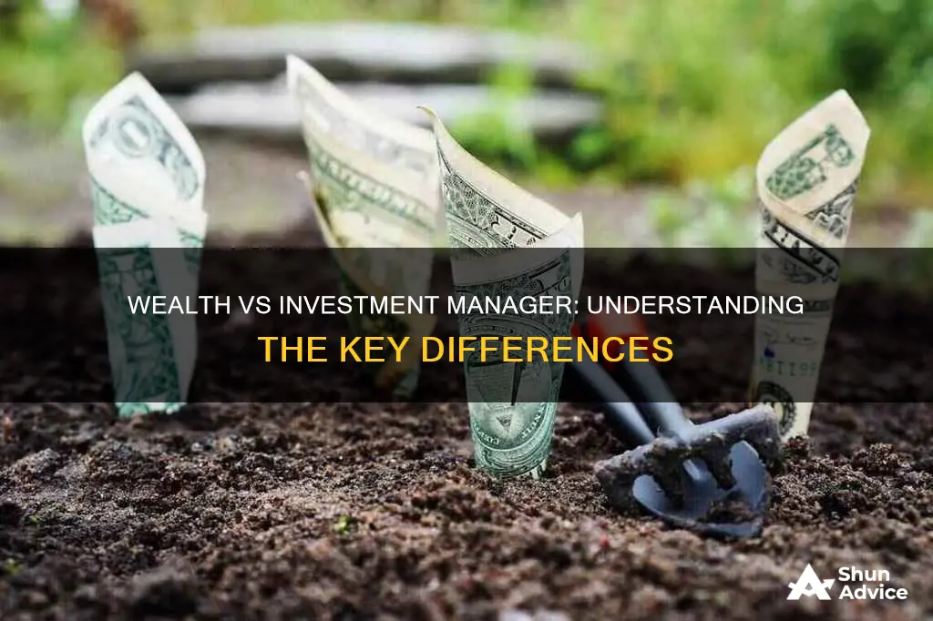 what is the difference between wealth manager and investment manager