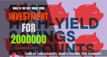 Maximize Your 2000000: Top Short-Term Investment Strategies